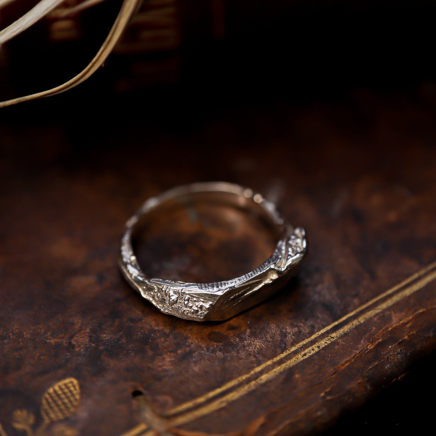 Les reliques d'Alienor – L'anneau du vœu